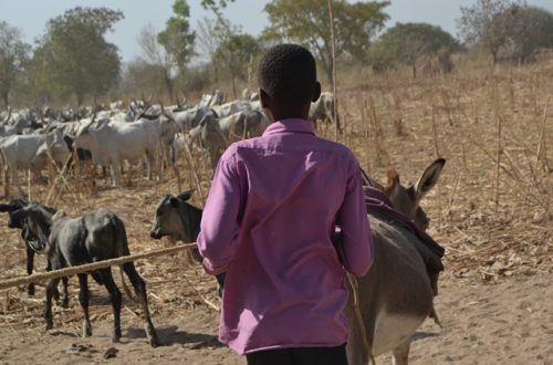 Article : #Mondochallenge : Les enfants « restés », un esclavagisme moderne très répandu au Tchad