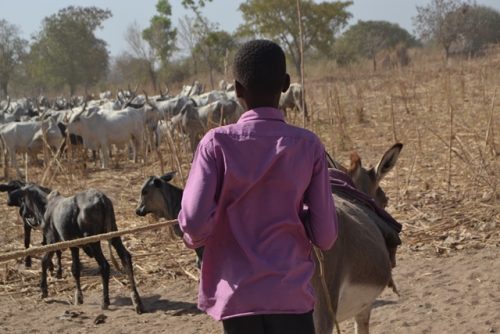 Article : #Mondochallenge : Les enfants « restés », un esclavagisme moderne très répandu au Tchad